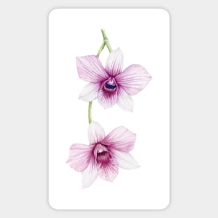Watercolor Orchids Sticker